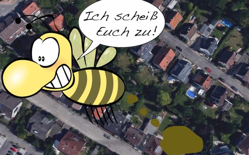Bienenattacke
