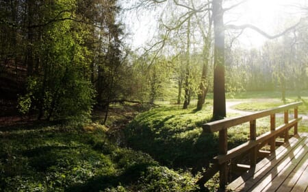 Sommer in Schweinfurt – diese 5 Aktivitäten sind ideal für heiße Tage geeignet