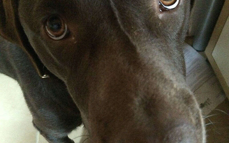 Buddy220914