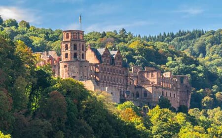 Was läuft eigentlich so in Heidelberg?