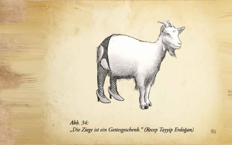 Erdogoat kumi