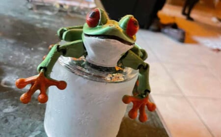 Roboter, Frosch, Calabi Yau, Concorde und Gort aus dem 3D-Drucker
