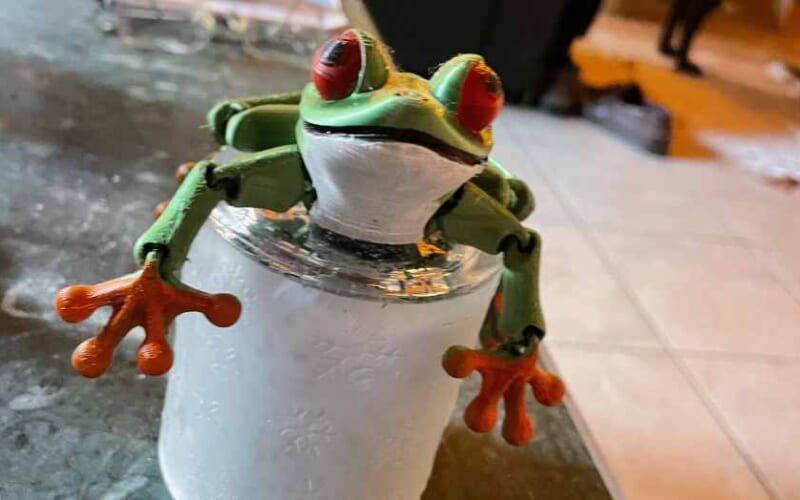 Frosch dreib