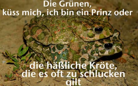 Alles gaga, alles grün, oder was?