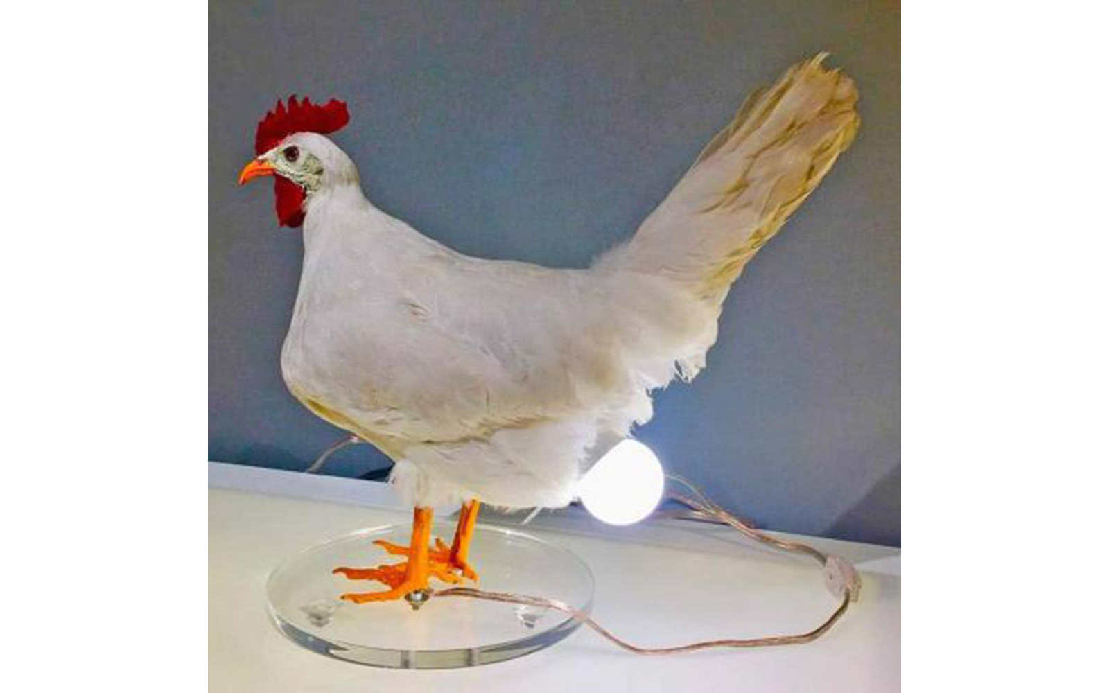 Ein künstliches Huhn mit einer Glühbirne