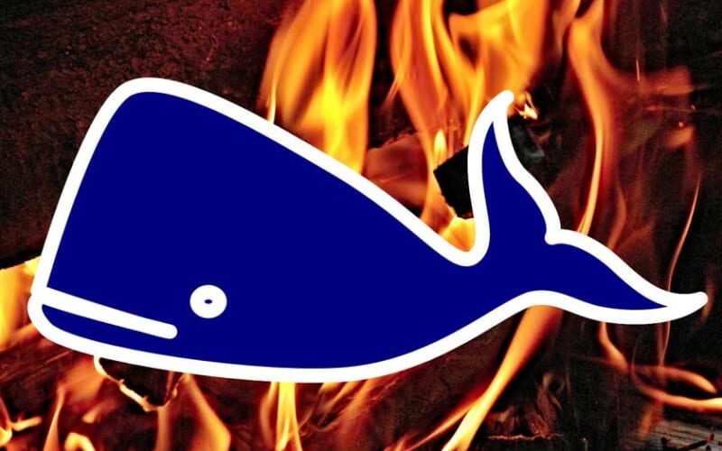 Moby dick