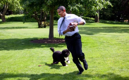 Obama-Care