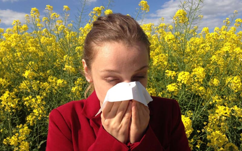 Pollen