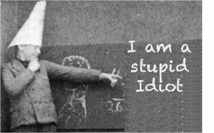 Stupid Idiot