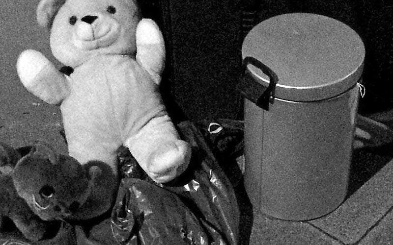Teddy