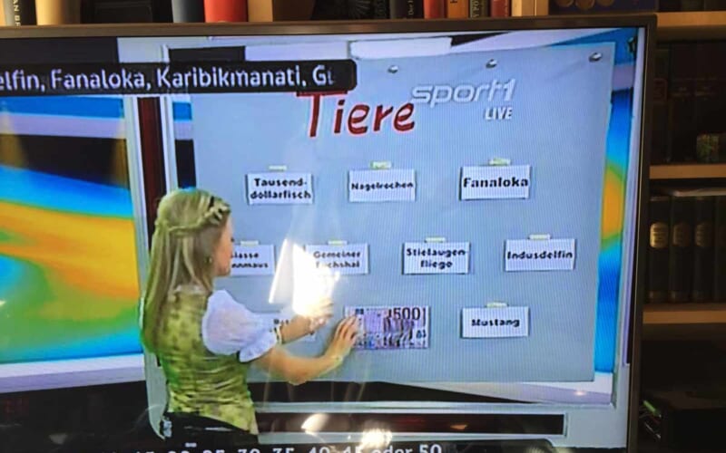 Telefopp