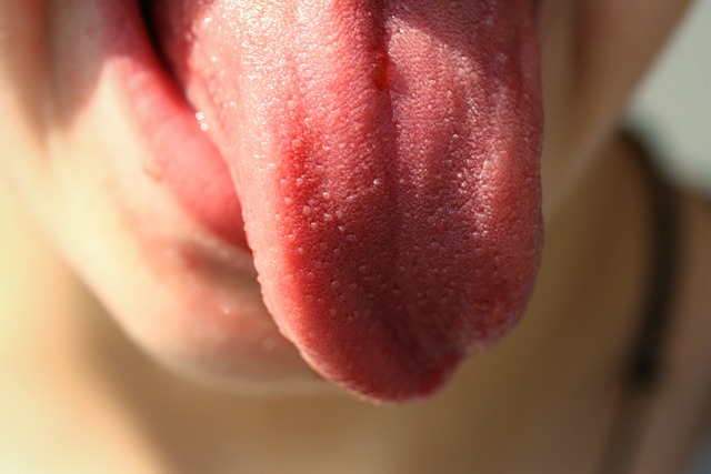 Tongue 822441 640
